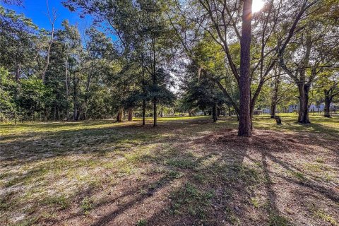 Land in Brooksville, Florida № 2395976 - photo 22