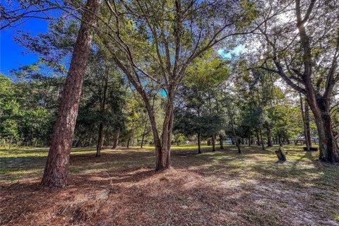 Land in Brooksville, Florida № 2395976 - photo 21