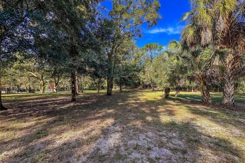 Land in Brooksville, Florida № 2395976 - photo 13
