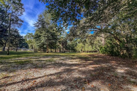 Land in Brooksville, Florida № 2395976