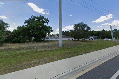 Land in Ocala, Florida № 2165519 - photo 3