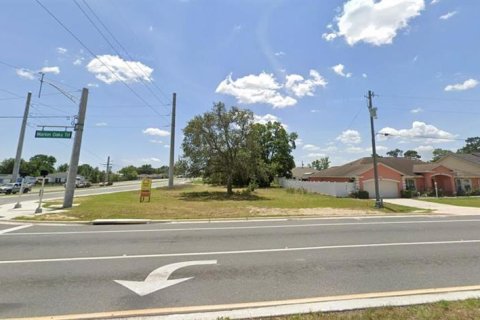 Land in Ocala, Florida № 2165519 - photo 4