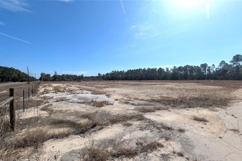 Land in Chiefland, Florida № 2235070 - photo 2