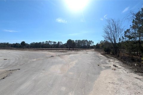 Land in Chiefland, Florida № 2235070 - photo 7