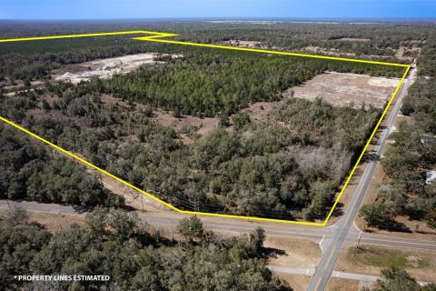 Land in Chiefland, Florida № 2235070