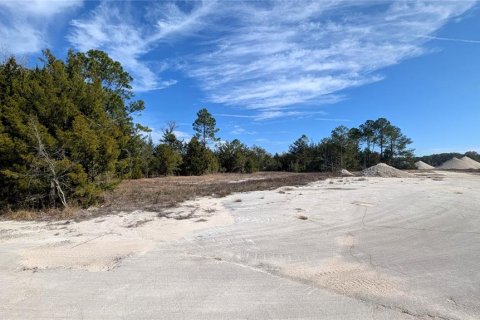 Land in Chiefland, Florida № 2235070 - photo 8