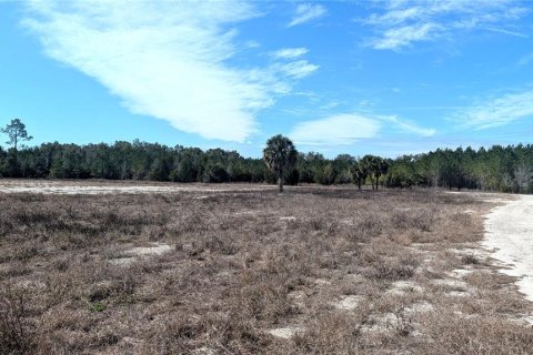 Land in Chiefland, Florida № 2235070 - photo 10