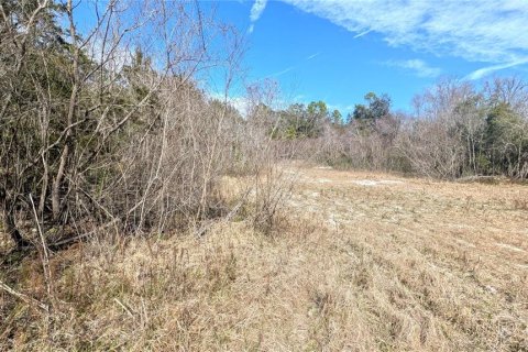 Land in Chiefland, Florida № 2235070 - photo 15