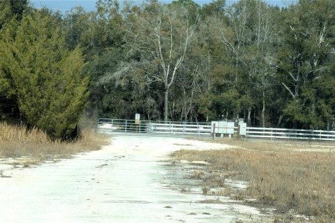 Land in Chiefland, Florida № 2235070 - photo 16