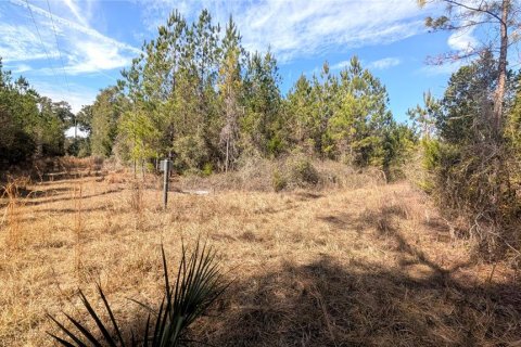 Land in Chiefland, Florida № 2235070 - photo 13