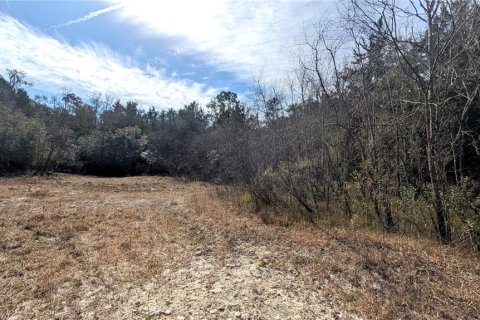 Land in Chiefland, Florida № 2235070 - photo 14