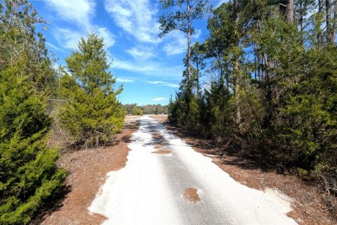 Land in Chiefland, Florida № 2235070 - photo 6