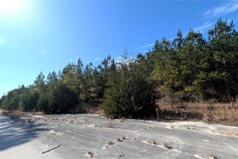 Land in Chiefland, Florida № 2235070 - photo 5