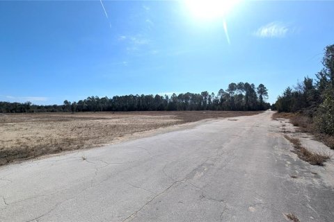 Land in Chiefland, Florida № 2235070 - photo 4