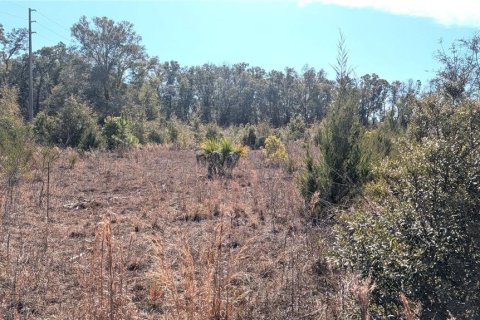 Land in Chiefland, Florida № 2235070 - photo 11