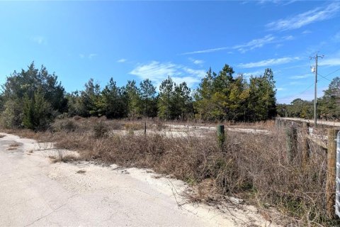 Land in Chiefland, Florida № 2235070 - photo 3