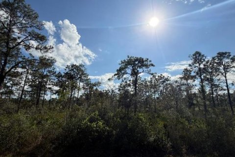 Land in Indian lake estates, Florida № 2161098