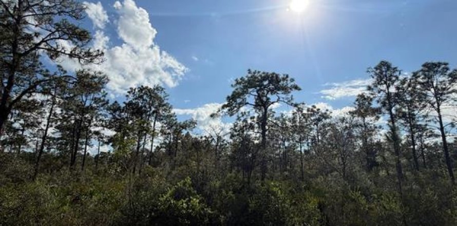 Land in Indian lake estates, Florida № 2161098