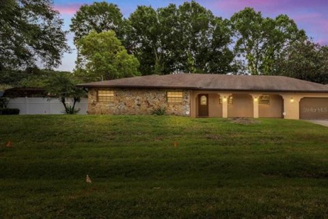 Casa en venta en Tampa, Florida, 4 dormitorios, 200.2 m2 № 2349881 - foto 3