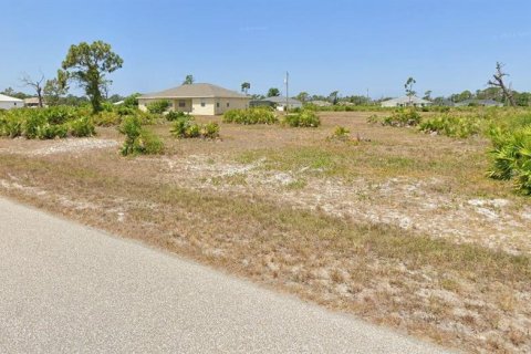 Land in Placida, Florida № 2223890 - photo 2
