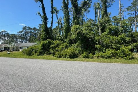 Terreno en venta en Palm Coast, Florida № 1142748 - foto 8