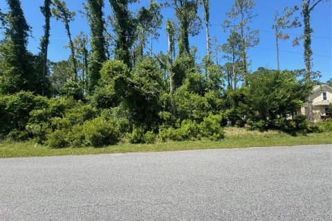 Land in Palm Coast, Florida № 1142748 - photo 1