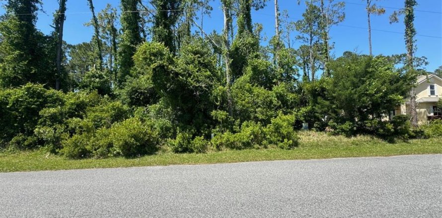 Land in Palm Coast, Florida № 1142748