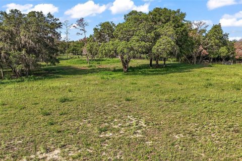 House in Winter Garden, Florida 3 bedrooms, 216.46 sq.m. № 1775654 - photo 14