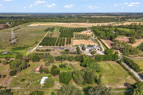 House in Winter Garden, Florida 3 bedrooms, 216.46 sq.m. № 1775654 - photo 10