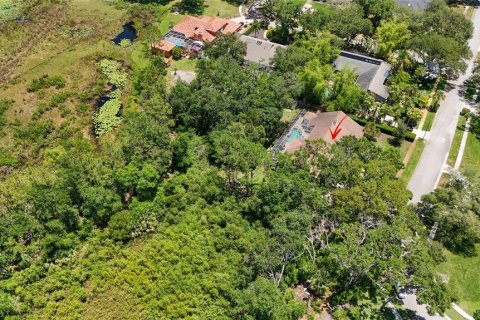 House in Lutz, Florida 3 bedrooms, 290.78 sq.m. № 1736262 - photo 23