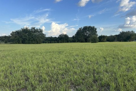 Terreno en venta en Lady Lake, Florida № 1901227 - foto 1
