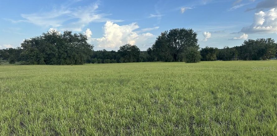 Terreno en Lady Lake, Florida № 1901227