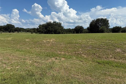 Terreno en venta en Lady Lake, Florida № 1901227 - foto 3