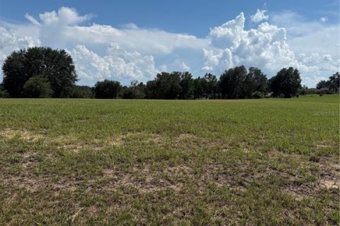 Terreno en venta en Lady Lake, Florida № 1901227 - foto 2
