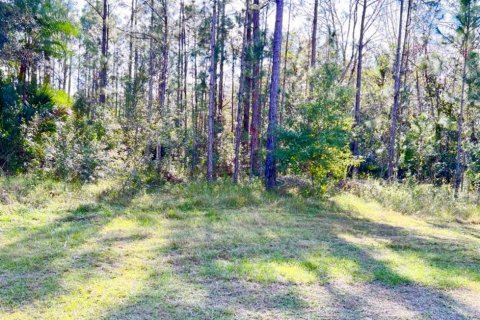 Land in Indian lake estates, Florida № 2239930