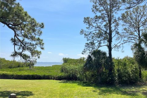 Land in Safety Harbor, Florida № 1644644 - photo 2