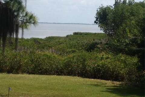 Land in Safety Harbor, Florida № 1644644 - photo 1
