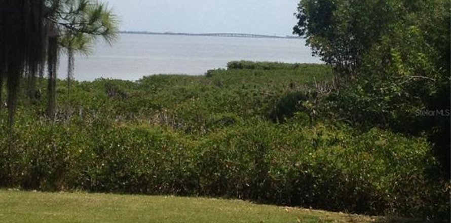 Land in Safety Harbor, Florida № 1644644