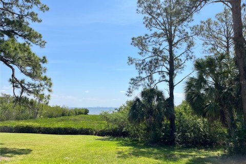 Land in Safety Harbor, Florida № 1644644 - photo 3