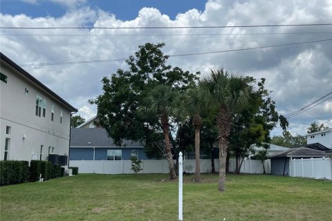 Land in Safety Harbor, Florida № 1644644 - photo 6