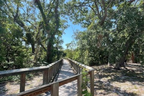 Land in Safety Harbor, Florida № 1644644 - photo 10