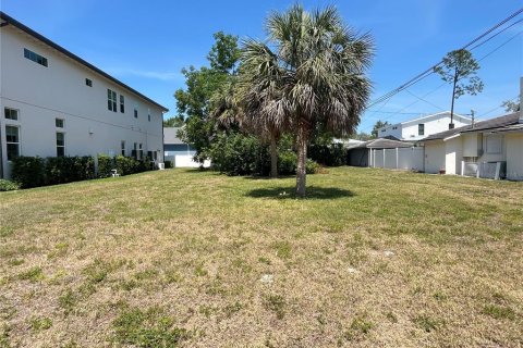 Land in Safety Harbor, Florida № 1644644 - photo 13