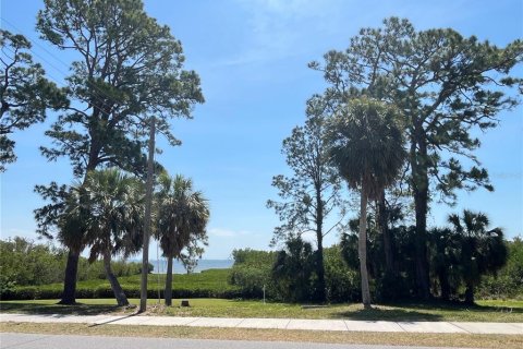 Land in Safety Harbor, Florida № 1644644 - photo 7