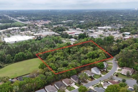 Land in Tallahassee, Florida № 1617184 - photo 2