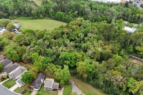 Land in Tallahassee, Florida № 1617184 - photo 7