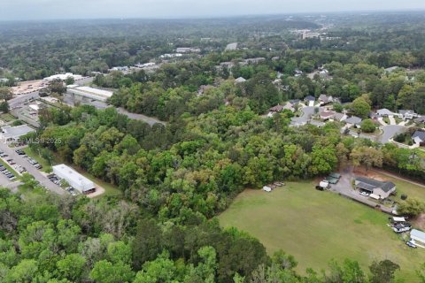 Land in Tallahassee, Florida № 1617184 - photo 11