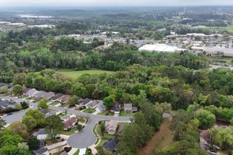 Land in Tallahassee, Florida № 1617184 - photo 19
