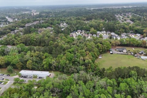 Land in Tallahassee, Florida № 1617184 - photo 3