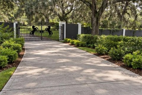 Villa ou maison à vendre à Brooksville, Floride: 6 chambres, 668.9 m2 № 2399554 - photo 8