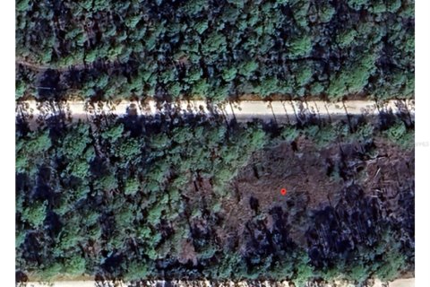 Land in Perry, Florida № 1819475 - photo 3